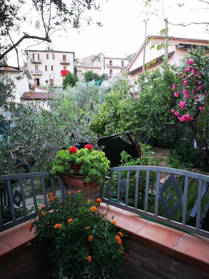 Casa Vacanze Sonia Apartment Amelia Ngoại thất bức ảnh